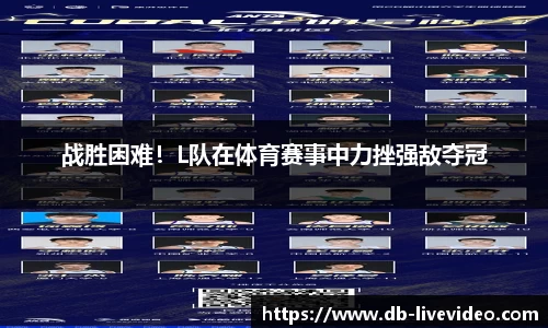 DB真人视讯