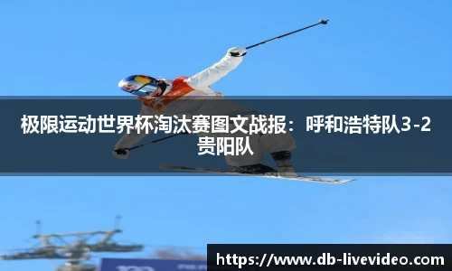 DB真人视讯官网