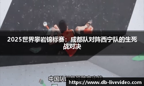 DB真人视讯官网