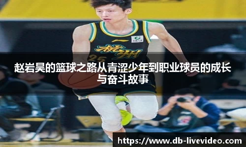 DB真人视讯官网